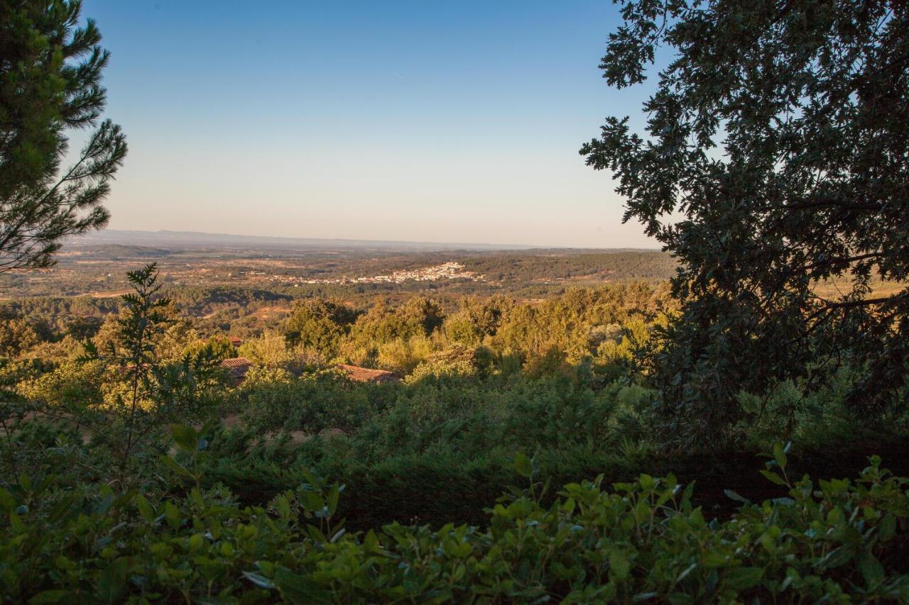 Finca La Sayuela Villa El Raso Eksteriør billede